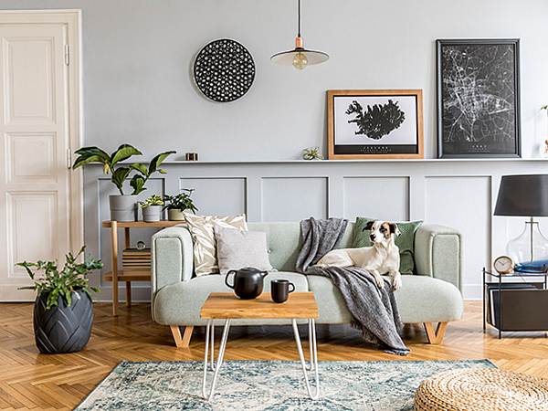 What Air Duct Cleaning Removes from Your Home in Stamford